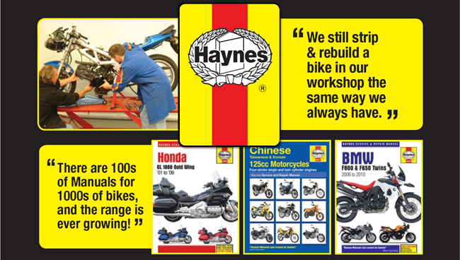 Haynes Picture
